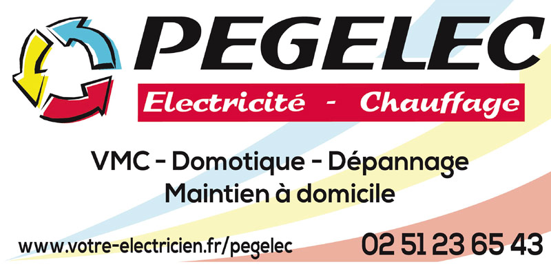 PEGELEC-01